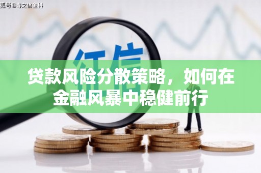 洋山贷款风险分散策略，如何在金融风暴中稳健前行