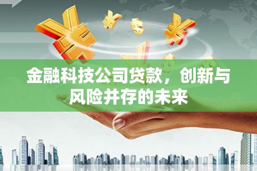 洋山金融科技公司贷款，创新与风险并存的未来