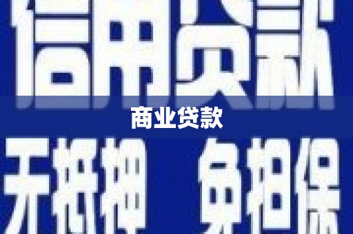 洋山商业贷款