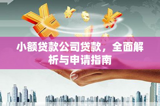洋山小额贷款公司贷款，全面解析与申请指南