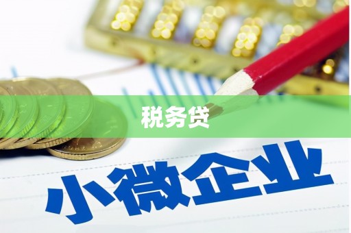 洋山税务贷