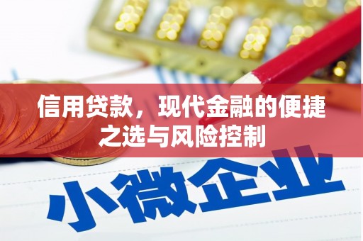 洋山信用贷款，现代金融的便捷之选与风险控制