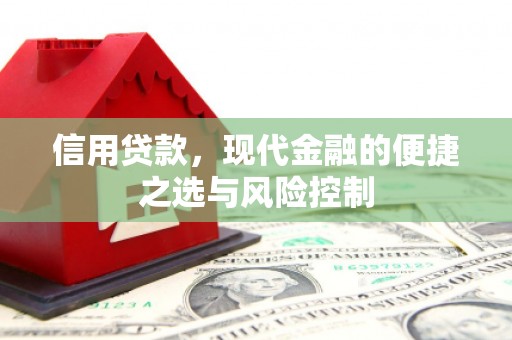 洋山信用贷款，现代金融的便捷之选与风险控制