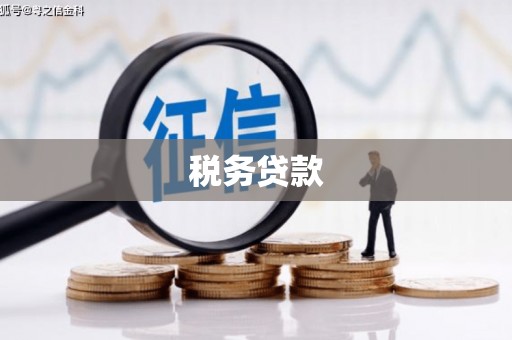 洋山税务贷款