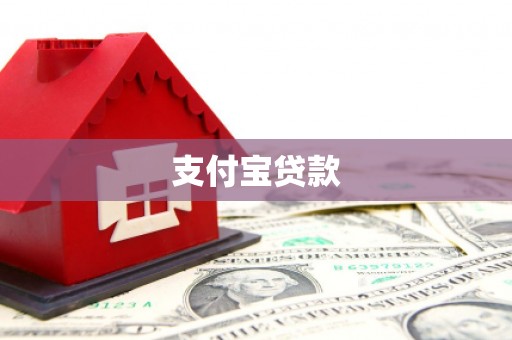 洋山支付宝贷款