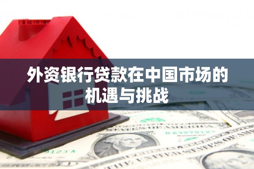 洋山外资银行贷款在中国市场的机遇与挑战