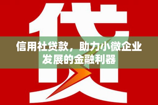 洋山信用社贷款，助力小微企业发展的金融利器