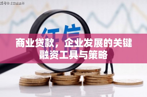 洋山商业贷款，企业发展的关键融资工具与策略