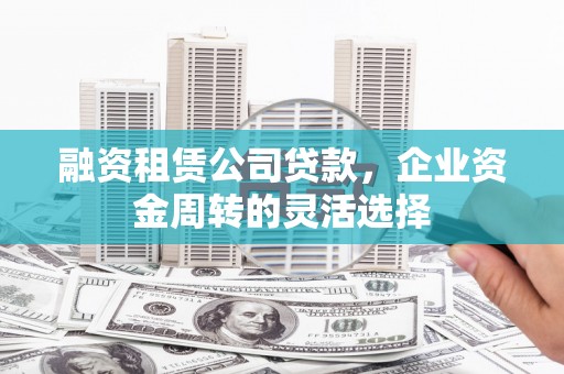 洋山融资租赁公司贷款，企业资金周转的灵活选择