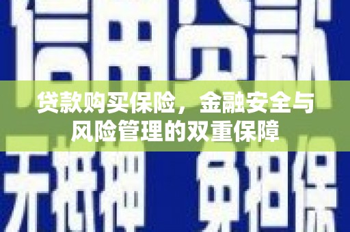 洋山贷款购买保险，金融安全与风险管理的双重保障