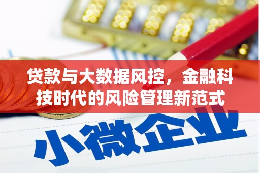 洋山贷款与大数据风控，金融科技时代的风险管理新范式