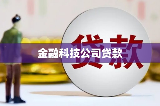 洋山金融科技公司贷款