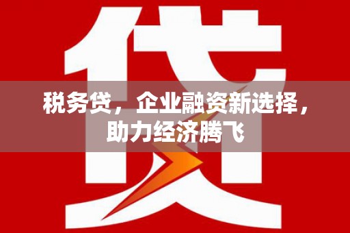 洋山税务贷，企业融资新选择，助力经济腾飞