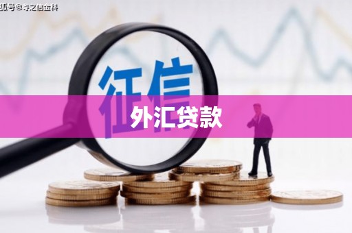 洋山外汇贷款