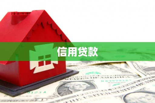 洋山信用贷款