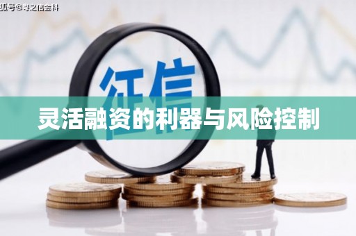 洋山灵活融资的利器与风险控制