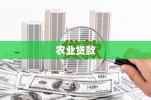 洋山农业贷款