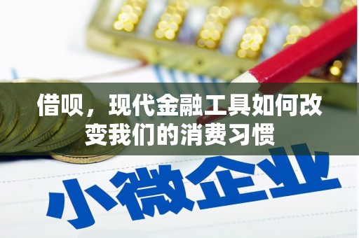 洋山借呗，现代金融工具如何改变我们的消费习惯