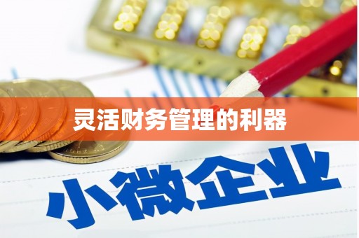 洋山灵活财务管理的利器