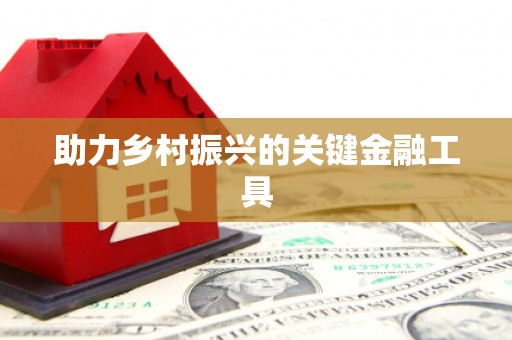洋山助力乡村振兴的关键金融工具