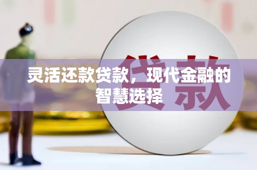 洋山灵活还款贷款，现代金融的智慧选择