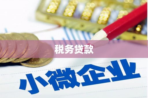 洋山税务贷款
