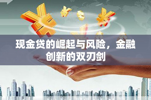 洋山现金贷的崛起与风险，金融创新的双刃剑