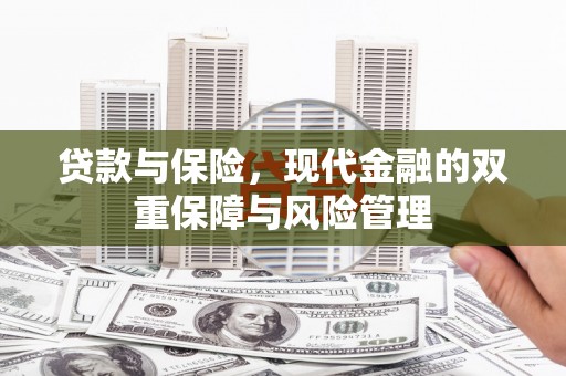 洋山贷款与保险，现代金融的双重保障与风险管理
