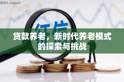 洋山贷款养老，新时代养老模式的探索与挑战