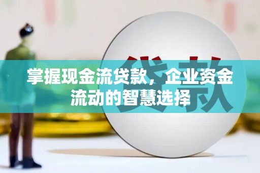 洋山掌握现金流贷款，企业资金流动的智慧选择