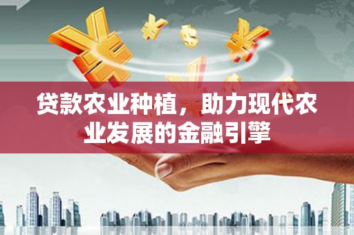 洋山贷款农业种植，助力现代农业发展的金融引擎