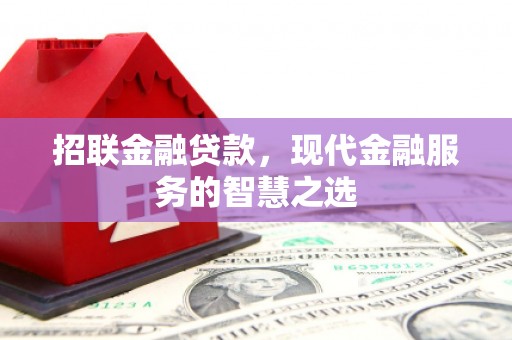 洋山招联金融贷款，现代金融服务的智慧之选