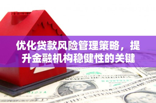 洋山优化贷款风险管理策略，提升金融机构稳健性的关键