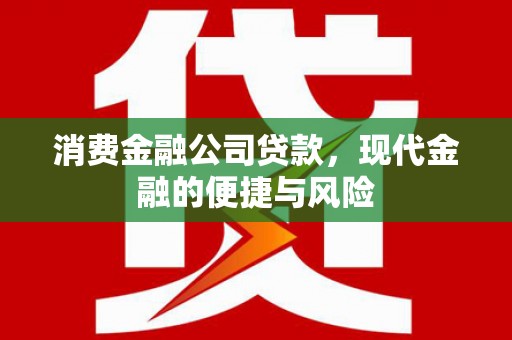 洋山消费金融公司贷款，现代金融的便捷与风险