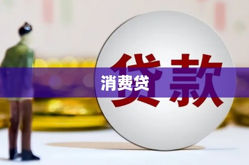 洋山消费贷