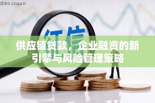 洋山供应链贷款，企业融资的新引擎与风险管理策略
