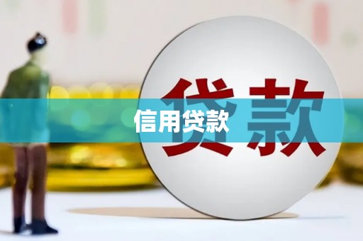 洋山信用贷款