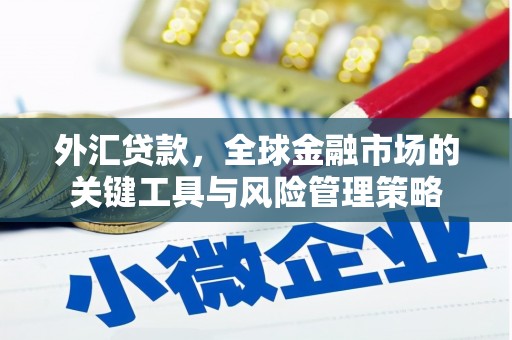 洋山外汇贷款，全球金融市场的关键工具与风险管理策略