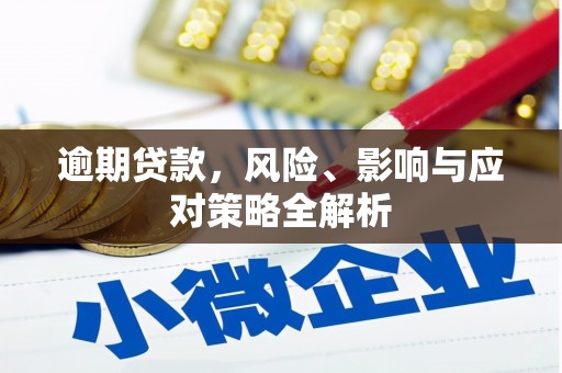洋山逾期贷款，风险、影响与应对策略全解析