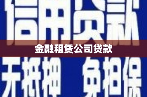 洋山金融租赁公司贷款