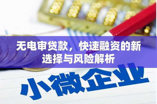 洋山无电审贷款，快速融资的新选择与风险解析