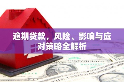 洋山逾期贷款，风险、影响与应对策略全解析