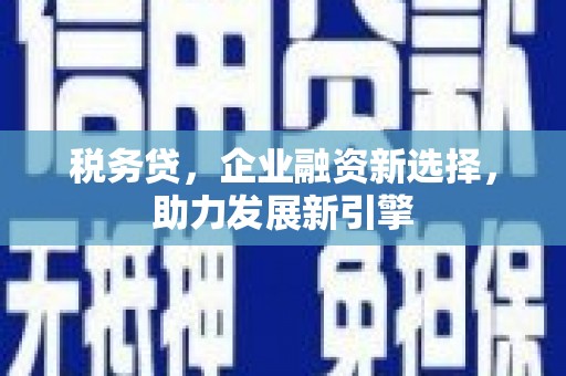 洋山税务贷，企业融资新选择，助力发展新引擎