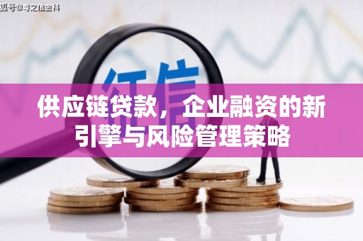 洋山供应链贷款，企业融资的新引擎与风险管理策略