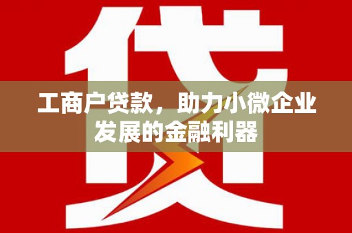 洋山工商户贷款，助力小微企业发展的金融利器