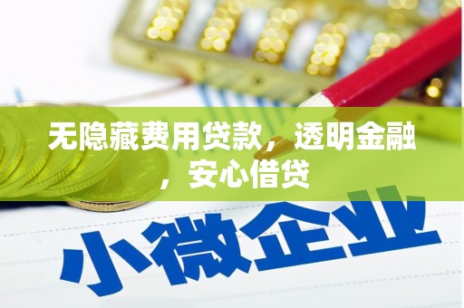 洋山无隐藏费用贷款，透明金融，安心借贷