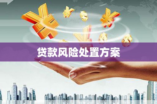 洋山贷款风险处置方案