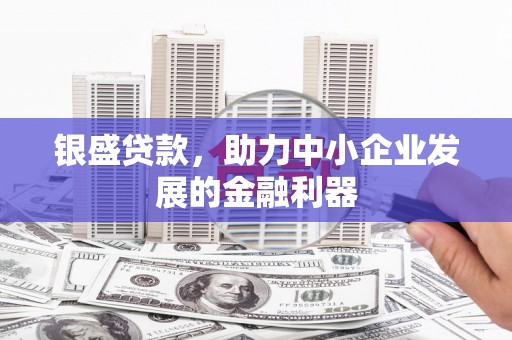 洋山银盛贷款，助力中小企业发展的金融利器