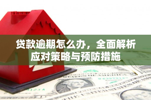 洋山贷款逾期怎么办，全面解析应对策略与预防措施