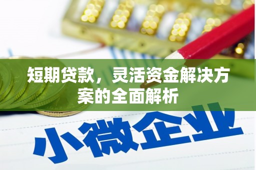 洋山短期贷款，灵活资金解决方案的全面解析